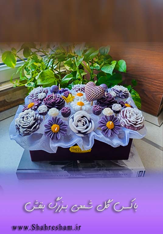 باکس گل شمعی بزرگ بنفش