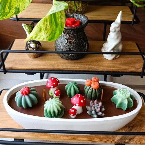 شمع فانتزی قایقی باغچه کاکتوس