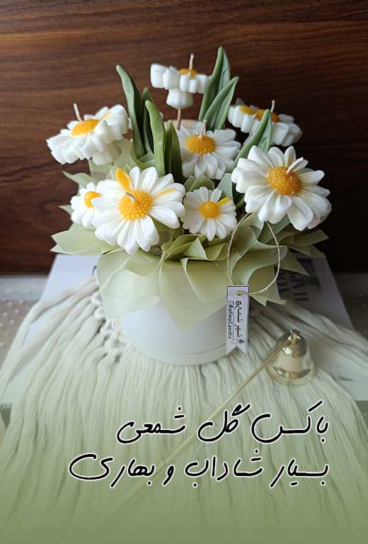 باکس گل شمعی بابونه سفید
