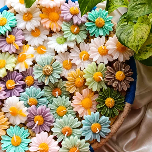 گیفت شمع گل بابونه