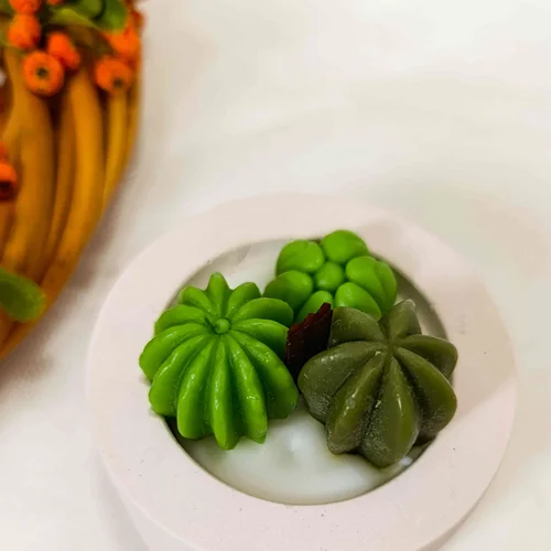 شمع فانوسی کاکتوس